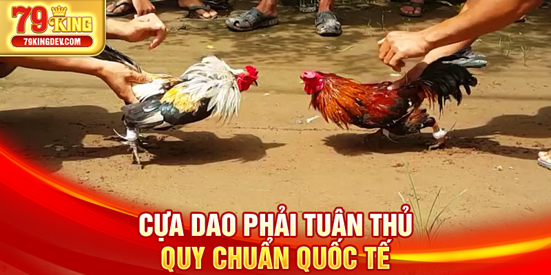 Cựa dao phải tuân thủ quy chuẩn quốc tế