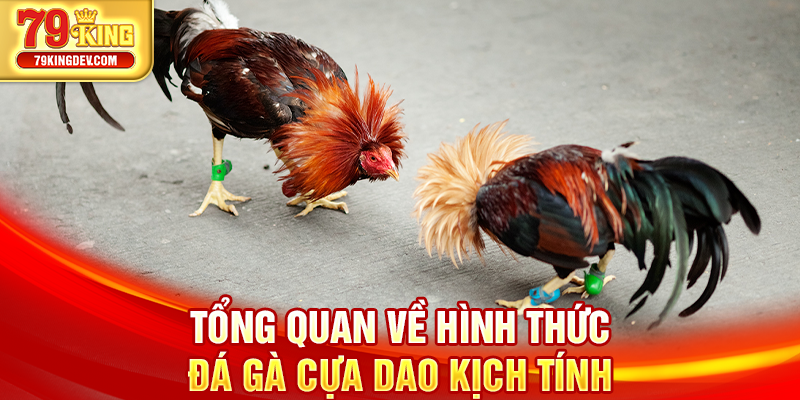 Tổng quan về hình thức đá gà cựa dao kịch tính